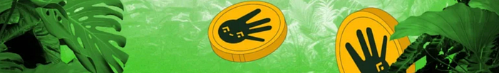 BNB Chain Meme Coins Are Exploding — And the Smartest Traders Are Already Positioning